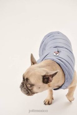 Jott Hombre Chaquetas | Jott chaqueta de plumón para perros delave azul woop accesorios 6L88786