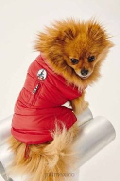 Jott Hombre Chaquetas | Jott chaqueta de plumas para perros rouge woop accesorios 6L88789