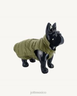 Jott Mexico | Jott chaqueta de plumas para perros bush woop accesorios 6L88790