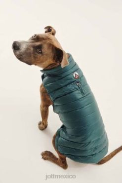 Jott Mexico | Jott chaqueta de plumas para perros vert fonce woop accesorios 6L88787